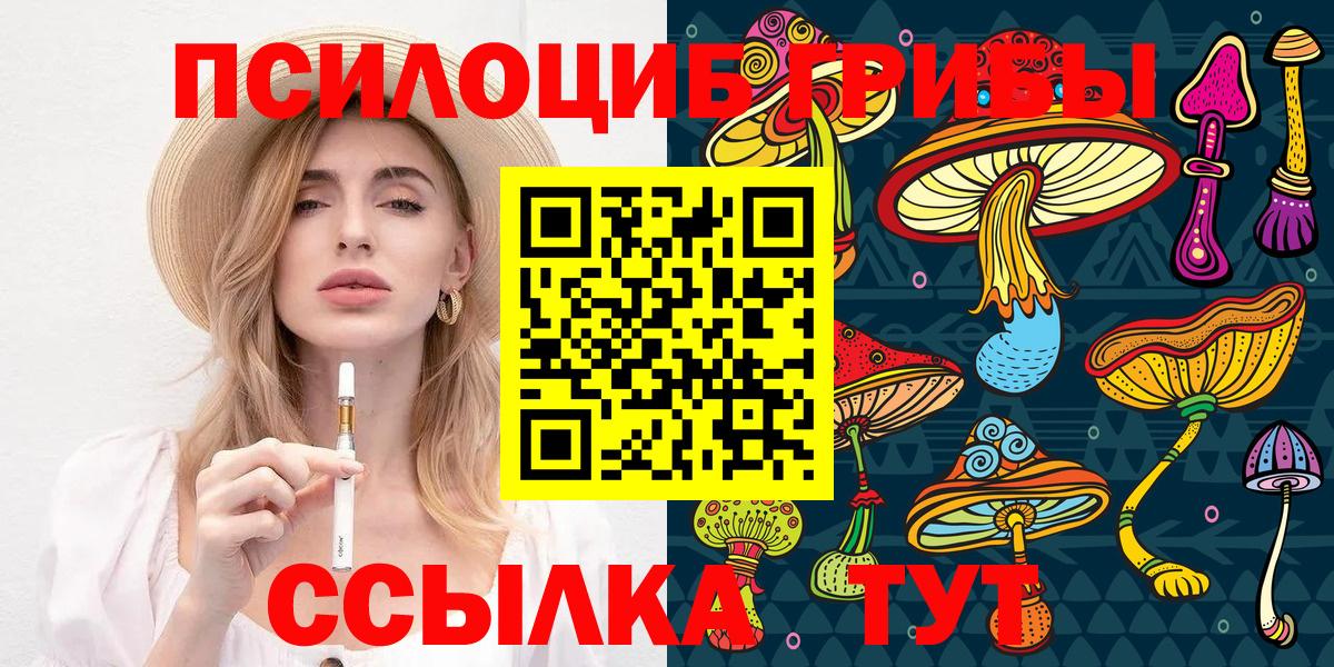 Меф мяу мяу Ачхой-Мартан