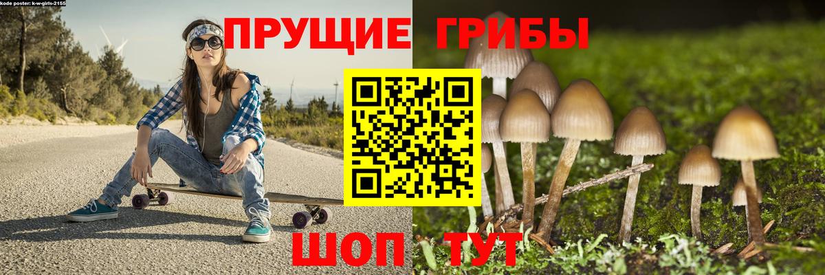 Псилоцибиновые грибы MAGIC MUSHROOMS Ачхой-Мартан