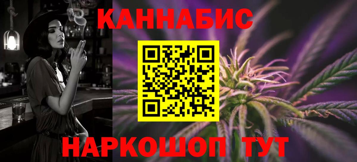 Конопля сатива Ачхой-Мартан
